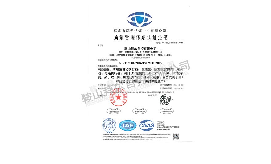 ISO9001質(zhì)量管理體系認(rèn)證